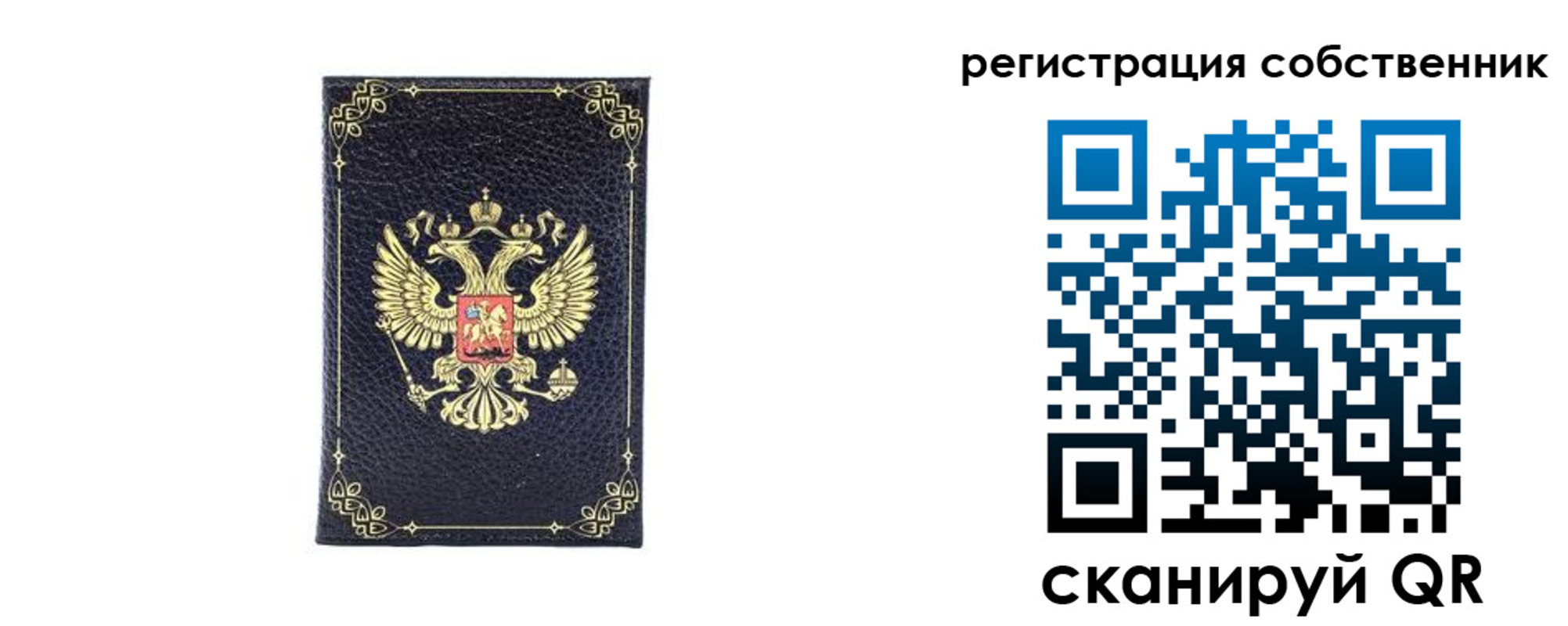 прописка законно в Мурманске